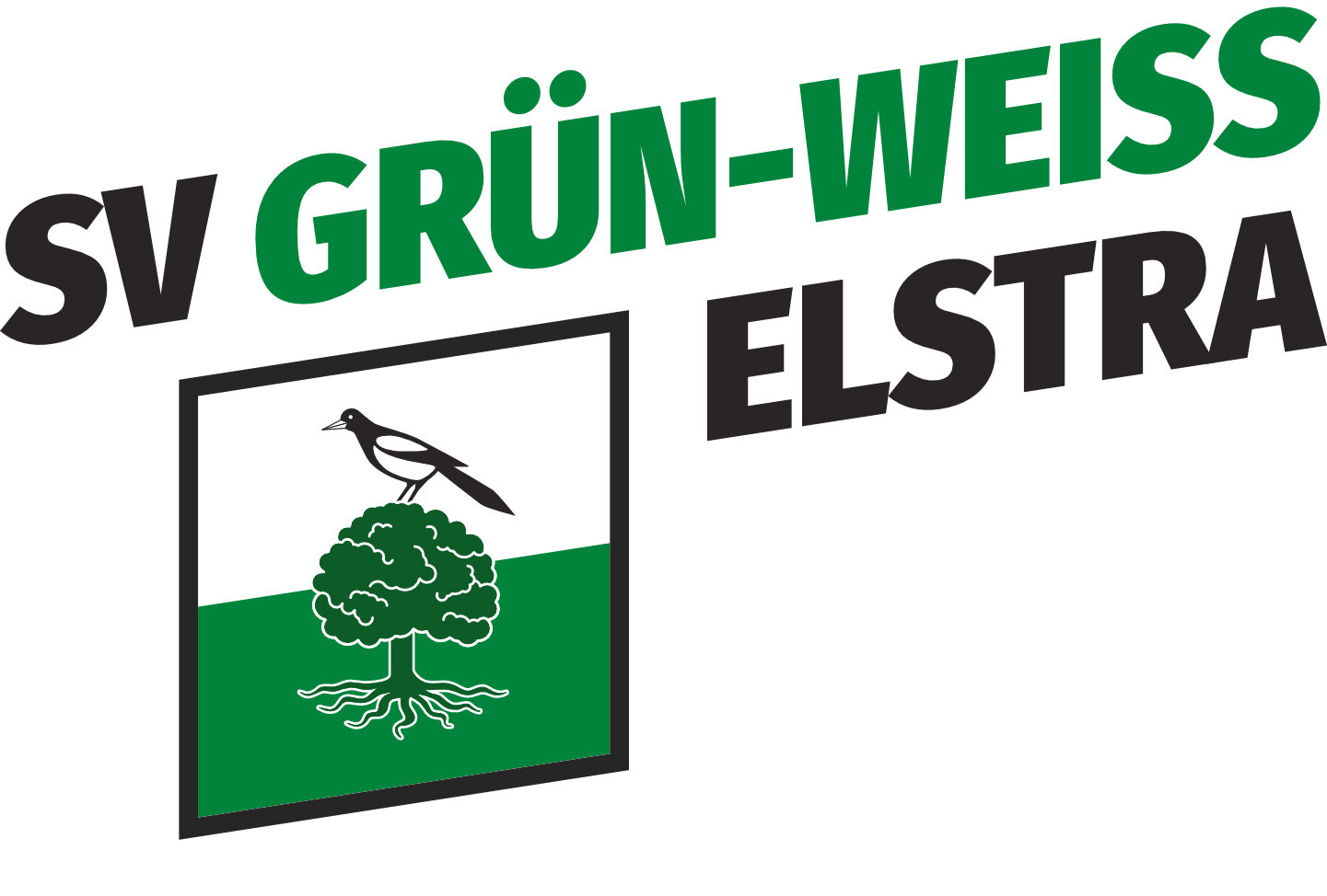 SV Grün-Weiß Elstra e.V.